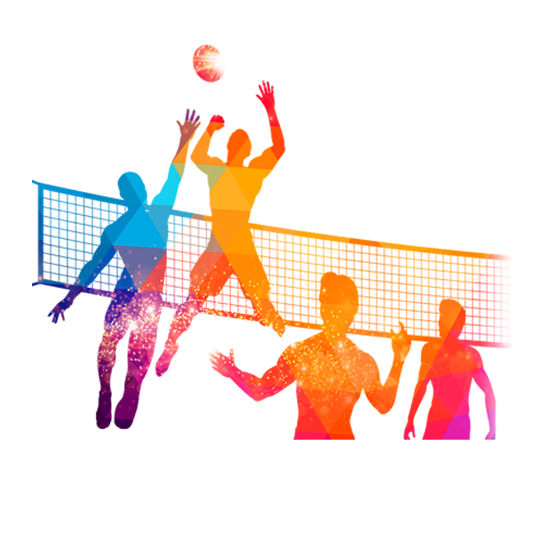 Volleyball Icon